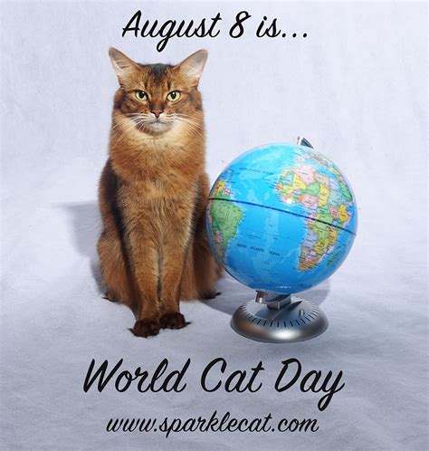 ziua internationala a pisicii
